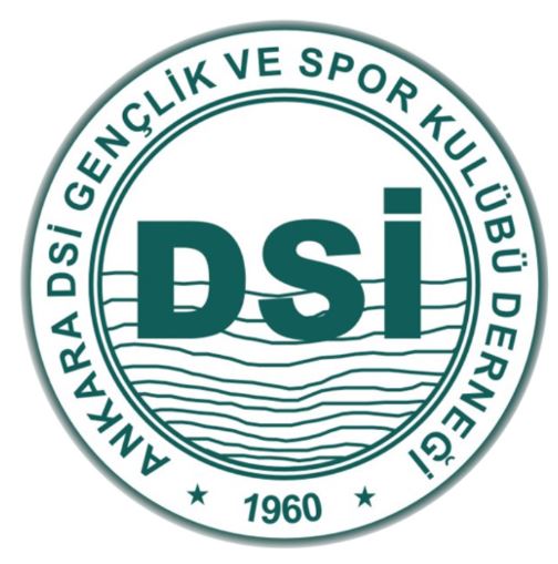 Ankara DSİ Basketbol